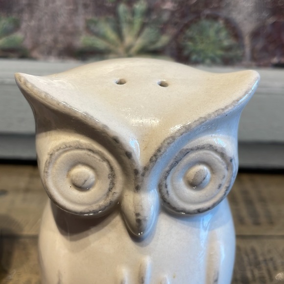 Vintage Owl salt & pepper shakers 4” - Picture 5 of 7